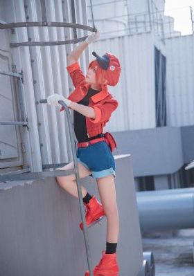 yy8090午夜理论_BD免费全集免费观看