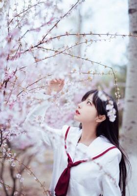 影视大全网页版_院线抢先免费完整版在线观看