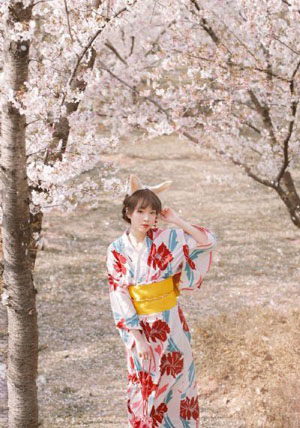 日韩18在线观看_预告片全集在线观看播放